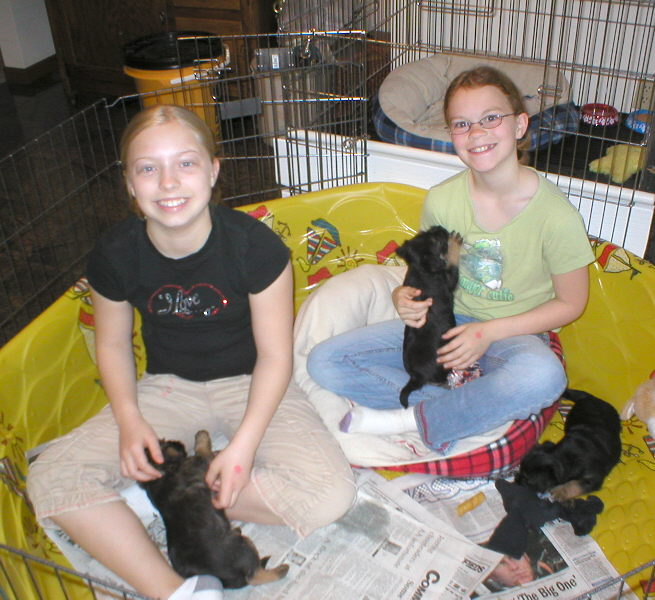 Puppiesoutside5andonehalfweeks001.jpg