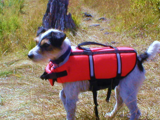 webassets/040.JPG