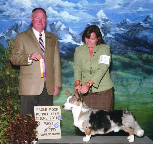 webassets/AeroandDarcyBlackfoot.jpg