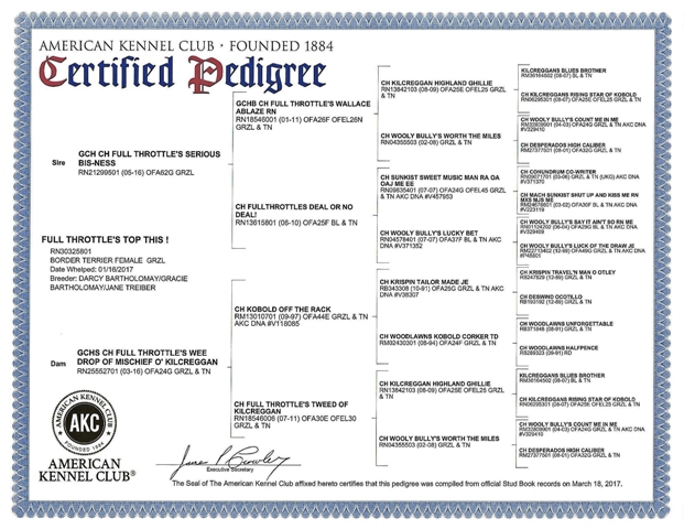 webassets/Bristle_pedigree.jpg