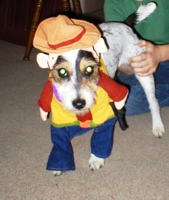 webassets/Dervishcostume.JPG