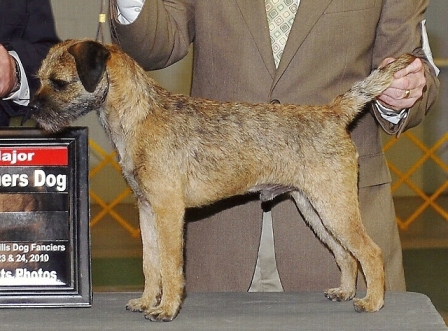 webassets/DuncanLewiston.jpg