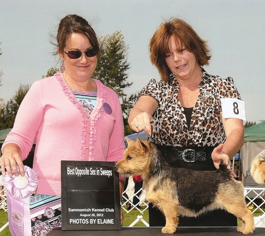 webassets/KewpieBOSsweepRedmond2012.jpg