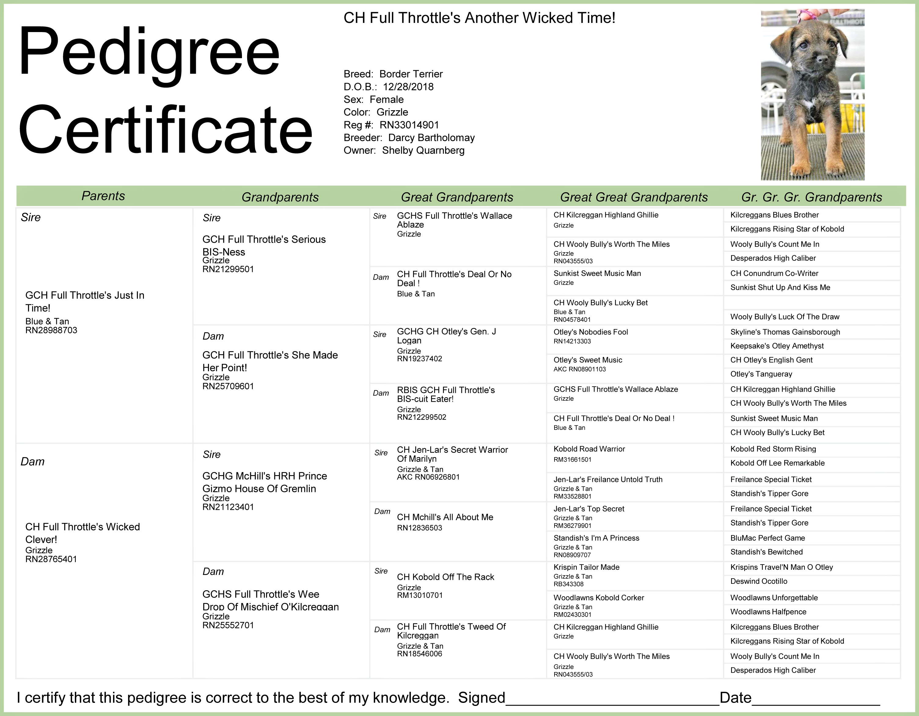 webassets/Mase_pedigree.jpg