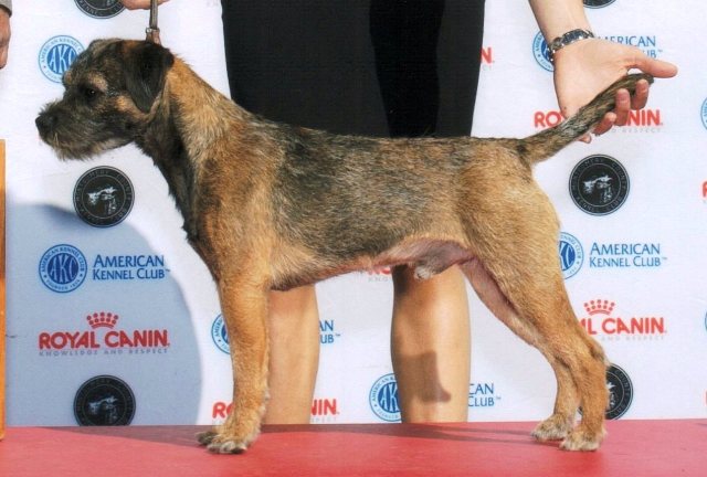 webassets/MontgomeryDogPicture.jpg