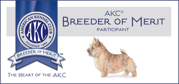 webassets/NorwichTerrier_BoM_Banner.jpg