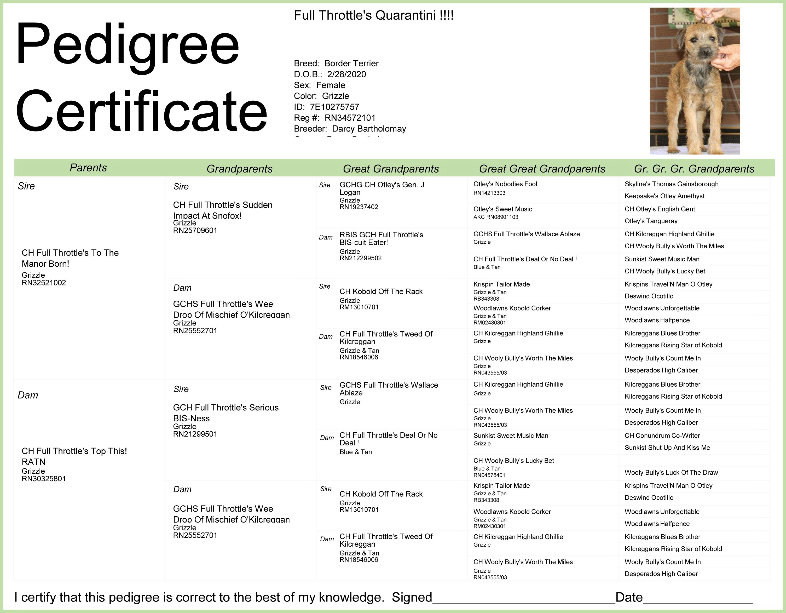 webassets/Tipsy_Pedigree.jpg