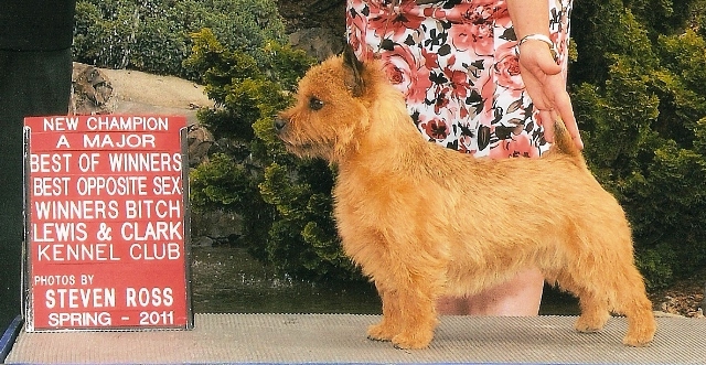 webassets/TizzieLewiston2011Champion.jpg