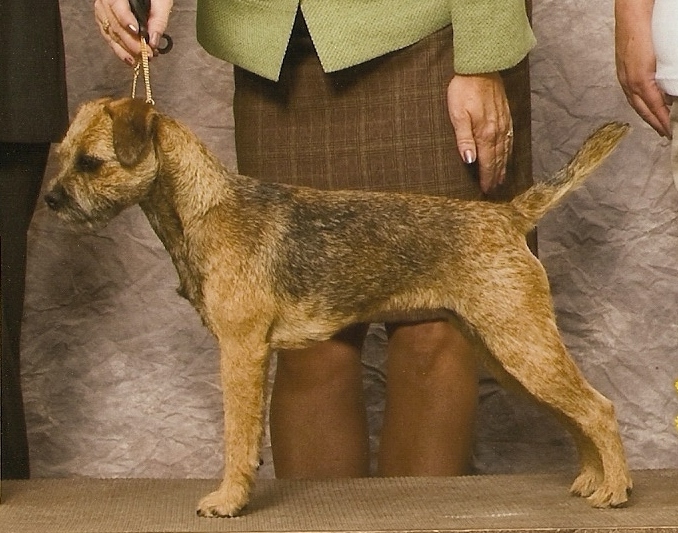 webassets/gunnynatstack.jpg
