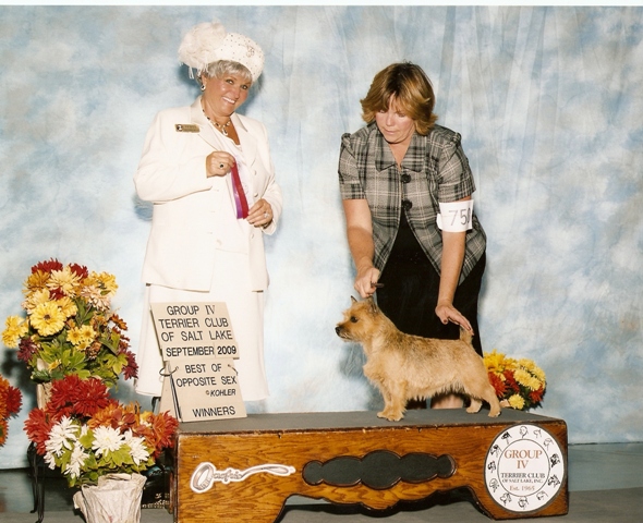 webassets/tizziedarcyutah.jpg